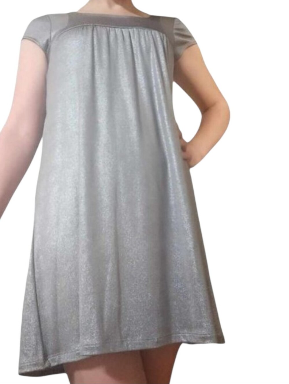 Fleurish Silver Sparkly Mini Dress Size S! 31" Long Gently Used Pre-Owned